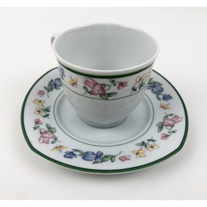 Winterling Marktleuthen Bavaria Spulmaschinenfest Teacup Saucer Set Floral