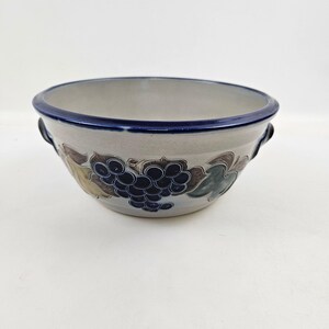 May include: A ceramic bowl with a light gray interior and exterior, featuring a dark blue rim and handles. The bowl is decorated with a grape and leaf design in shades of blue, brown, and green.