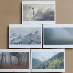 5er Set Postkarten - Big big animals in nature