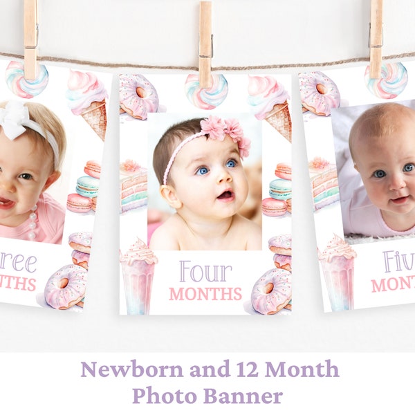 Sweet One Photo Banner First Birthday Monthly Photo Banner Sweet One Birthday 1St Birthday Girl First Year Photos 12 Months Banner SWE1