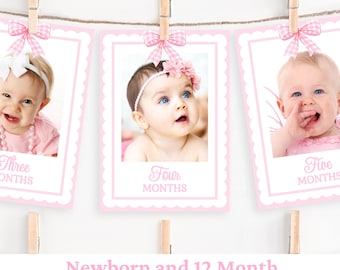 12 Month Photo Banner Download Monthly Photo Banner Girl 1st Birthday Pink Bow Birthday Party Decor Baby Photo Banner First Year Photo PINK1