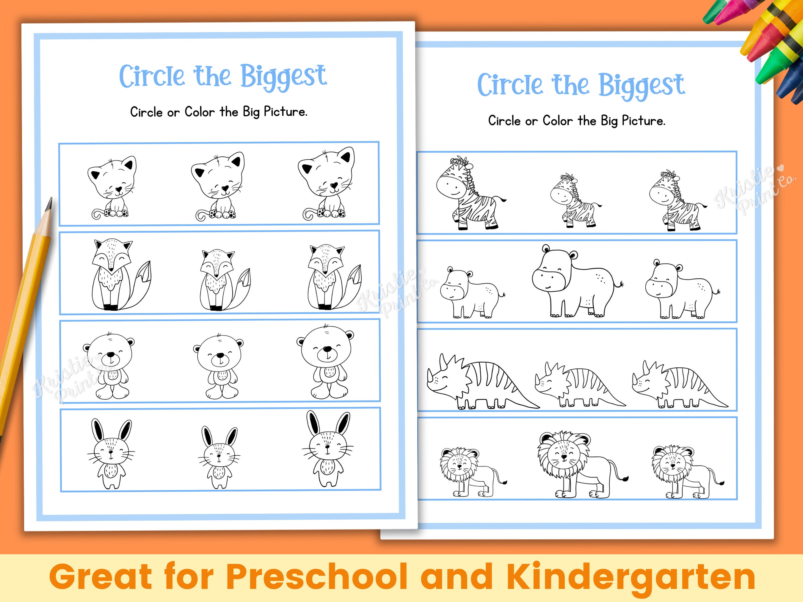 Big Small Worksheets, Learning Sizes Printable, Preschool Worksheets ...