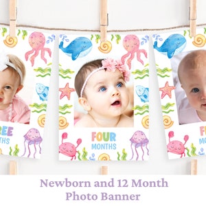 Oneder the Sea Photo Banner Under The Sea Party 12 Month Banner 1St Birthday Girl Monthly Photo Banner Sea Birthday Party Milestone UND1