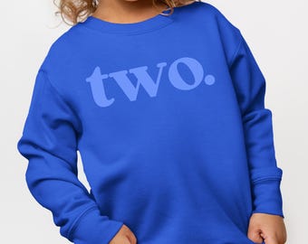 Sudadera de segundo cumpleaños, camiseta de segundo cumpleaños, camiseta de niño, camiseta de dos años para niño, camiseta de dos años para niña, camiseta vintage de cumpleaños para niño pequeño, camiseta de dos años larga