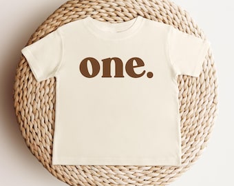 One Shirt First Birthday Shirt for Baby Boy Girl Baby Shirt Birthday 1 Year Old Birthday Gift Vintage One Shirt Cake Smash Shirt 1st Bday