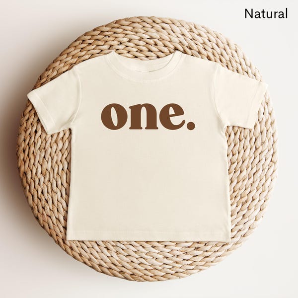 One Shirt First Birthday Shirt for Baby Boy Girl Baby Shirt Birthday 1 Year Old Birthday Gift Vintage One Shirt Cake Smash Shirt 1st Bday