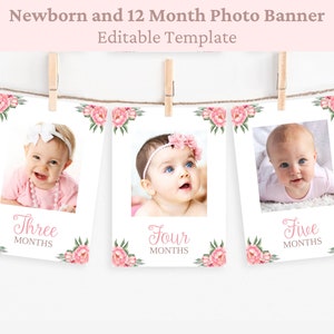 First Birthday Photo Banner Floral First Birthday Milestone Photo Cards 1st Birthday Photo Banner Monthly Milestone Baby Girl BUNNY1