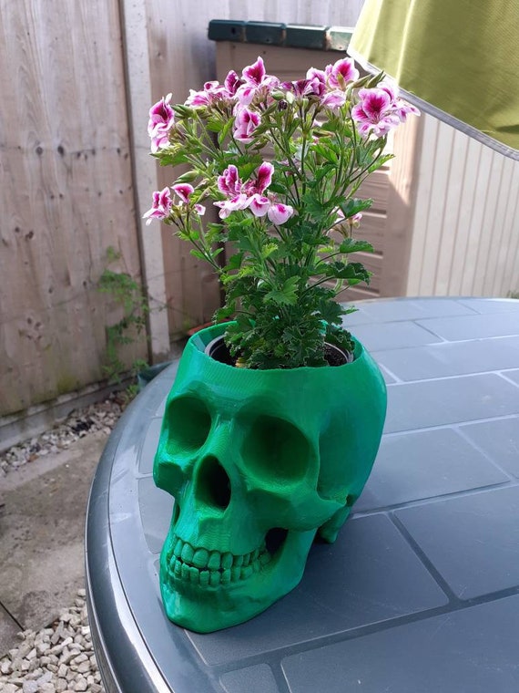 Skull outlet plant pot