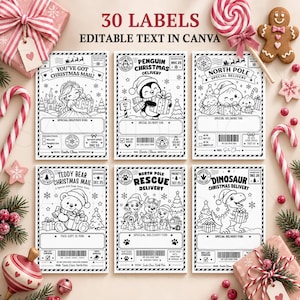 Può includere: Sei etichette regalo natalizie rettangolari con illustrazioni in bianco e nero di una principessa, un pinguino, personaggi del Polo Nord, un orsacchiotto, cuccioli e un dinosauro, complete di aree di testo modificabili e codici a barre.
