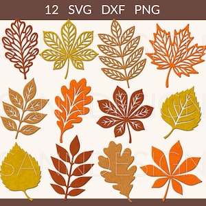 Könnte beinhalten: Eine Sammlung von 12 herbstlichen Blattdesigns in den Formaten SVG, DXF und PNG. Die Blätter sind in verschiedenen Braun-, Orange- und Gelbtönen gehalten und weisen filigrane Ausschnitte auf. Der Text "12 SVG DXF PNG" ist oben zu sehen.