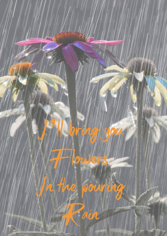 Sweet Female Attitude ill Bring You Flowers in the Pouring Etsy UK