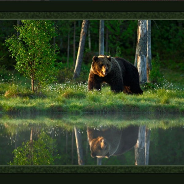 Grizzly At The Lake Fabric Panel