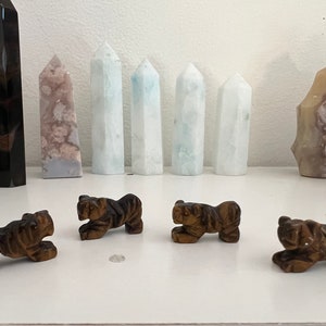 Tigers Eye Tigers