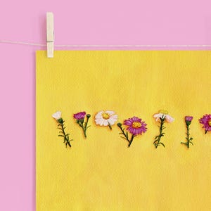 Asters Watercolor Print | September Birth Flower | Wall Art | Home Décor | Print from Hand-Painted Original