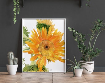 Sunflower | Wall Art | Home Décor | Original Painting