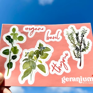 May include: A set of five pink and white stickers featuring watercolor illustrations of herbs, including oregano, basil, thyme, and two different types of leafy greens. The stickers are on a pink background and have the text "geranium studio" in the bottom right corner.