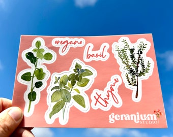 Kitchen Herb Vinyl Sticker Sheet | Oregano, Basil, Thyme | Waterproof | Laptop, Water Bottle Stickers
