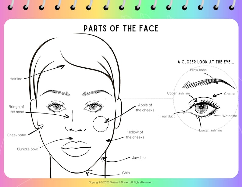 My Made up Life Makeup Maps - Etsy