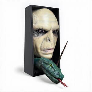 May include: A black rectangular box featuring a pale-skinned face with a prominent nose and dark eyes. A green snake with a red tongue emerges from the box, and a wand is positioned to the right. The theme is fantasy.