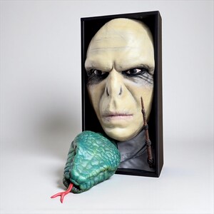 May include: A framed sculpture featuring a pale-skinned face with a stern expression, a wand, and a green snake head with a red tongue. The sculpture is set against a black background.