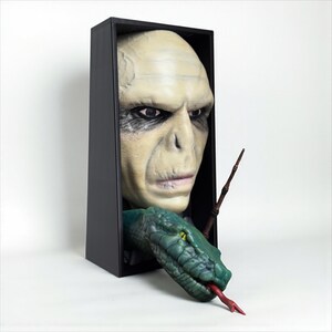 May include: A black rectangular box featuring a pale-skinned face with a prominent nose and dark eyes. A green snake with a red tongue emerges from the box, and a wand is positioned nearby. The theme is fantasy.