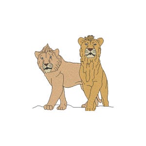 Puede incluir: Dos leones, uno marrón claro y otro marrón oscuro, caminan uno al lado del otro. Los leones miran hacia adelante con la cabeza en alto.