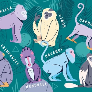 May include: An illustration of different types of monkeys, including a gorilla, gibbon, marmoset, chimpanzee, mandrill, macaque, and sifaka. Each monkey is depicted in a cartoon style with bright colours and unique features.