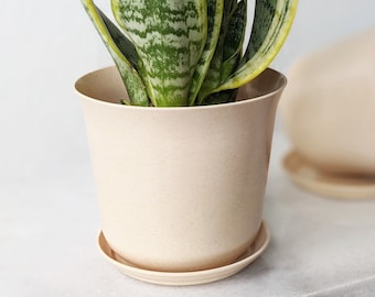 5 inch Bamboo Planter with Matching Tray in White or Beige - Made with Eco-Friendly Bamboo Fibers - 5 inch Flower Pot