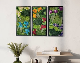 Set of 3 Preserved Moss Wall Art, Colorful Botanical Framed Decor
