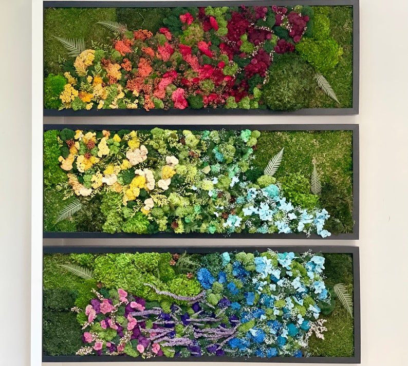 Mossequal XL Rainbow Moss Wall Art Moss Art Preserved Etsy Canada