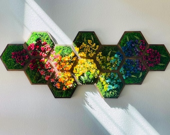 Rainbow Honeycomb Moss Wall Art: Preserved Moss, Nature Home Decor