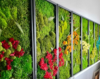 Rainbow Panel Moss Frames, Preserved Botanical Wall Decor, Dried Flower Set