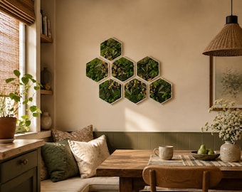Honeycomb Framed Moss Art Set: Preserved Plant Wall Decor