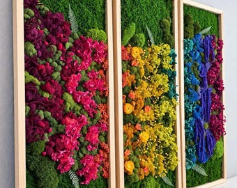 Rainbow Preserved Moss Wall Art, Natural Wood Frame, Zero-Maintenance Decor