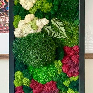 Preserved moss art frame in white and red. No maintenance required. Size 20x10.