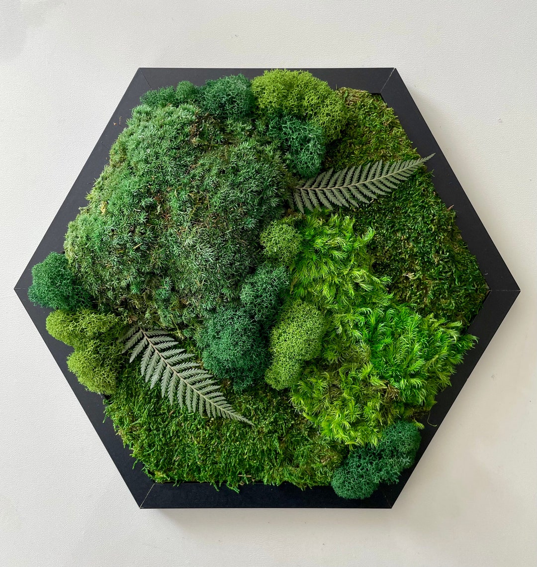 Moss Wall Art Black Friday Sale Preserved Moss Hexagon