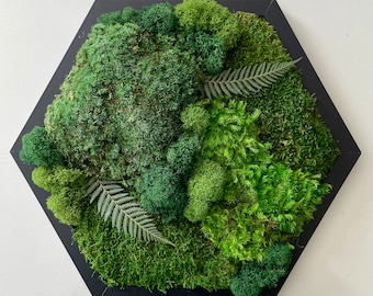 Moss Wall Art | Black Friday Sale | Preserved Moss | Hexagon | Honeycomb | Handmade | Gift | Eco-Friendly | Appreciation Gifts Employees