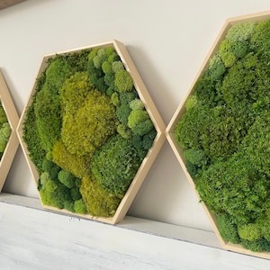 Moss Wall Art Set | Preserved Moss | Hexagon | Honeycomb | Handmade | Housewarming Gift | Eco-Friendly | No Maintenance