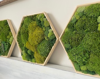 Moss Wall Art Set | Preserved Moss | Hexagon | Honeycomb | Handmade | Housewarming Gift | Eco-Friendly | No Maintenance