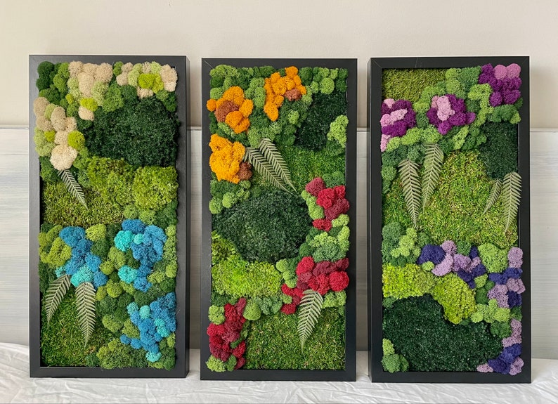 Preserved moss art frames, set of 3. No maintenance required. Size 20x10 in each.