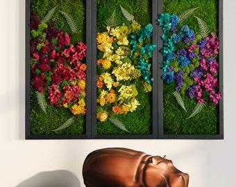 Rainbow Preserved Moss Wall Art: Handcrafted Colorful Home Decor