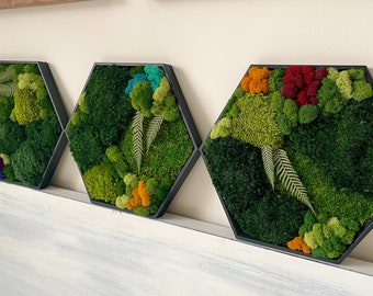 RuMoss Hex Set | Moss Wall Art | Preserved Moss | Hexagon | Honeycomb | Color Pop | Handmade | Gift | Eco-Friendly