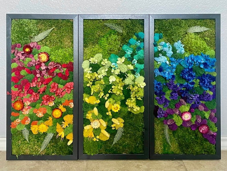 Mossequal XL Rainbow Moss Wall Art Moss Art Preserved Etsy Canada