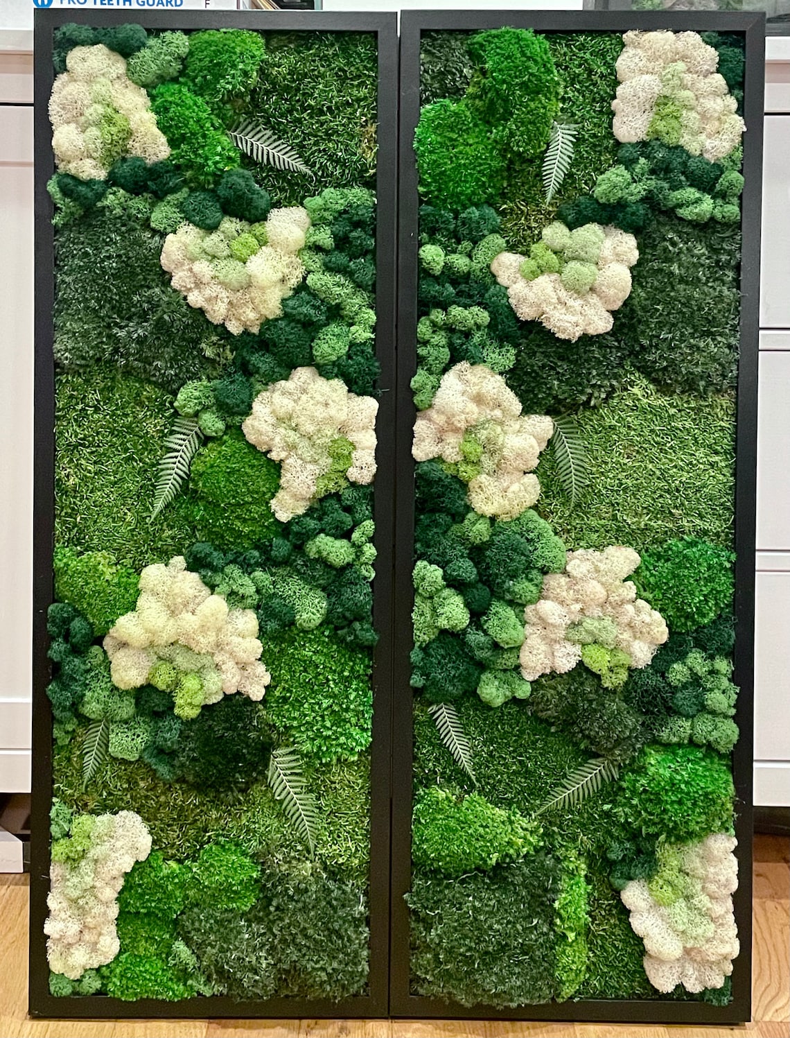 Flower Moss Moss Wall Art Preserved Moss Nature Home Etsy