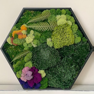 Honeycomb Moss Wall Art | Preserved Moss | Hexagon | Color Pop | Handmade | Gift | Colorful Art | Nature Wall Art