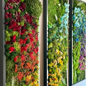 Our Original Rainbow Moss | Preserved Moss | Wall Decor Living Room | Colorful Art | Office Decor | Triptych Art | Handmade Gift | Wall Art