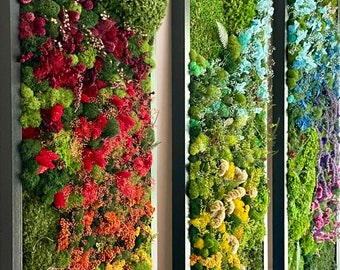 May include: Three framed vertical wall art pieces with vibrant, colorful floral and moss arrangements. The artwork features a gradient of colors, including red, orange, yellow, green, blue, and purple, creating a visually striking display. The frames are black.