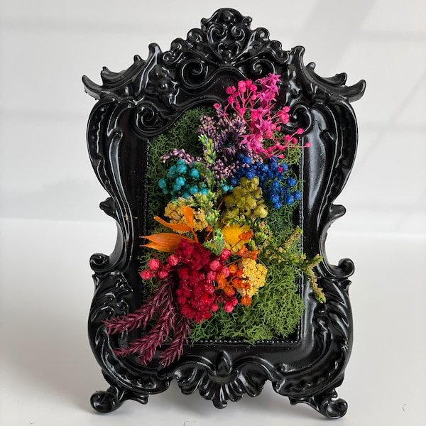 Mini Rainbow Moss Art | La Petite Moss | Preserved Moss | Wall Decor Living Room | Colorful Art | Original Gift | Handmade Gift | Wall Art