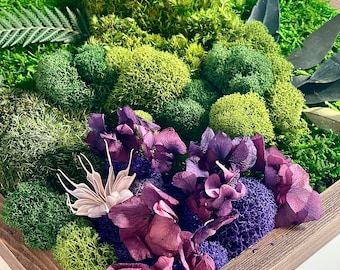 DIY Moss & Floral Art Kit (12x12 in) - Botanical Wall Decor