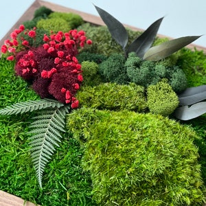 Moss & Floral Art Kit - DIY Dried Botanical Wall Art | Create your Own Living Decor | Nature Lovers | Unique Gifts | Team Building Activity